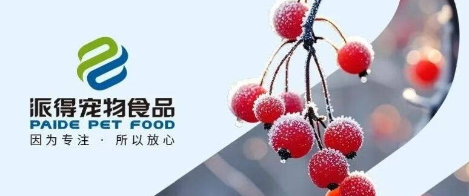 派得寵物