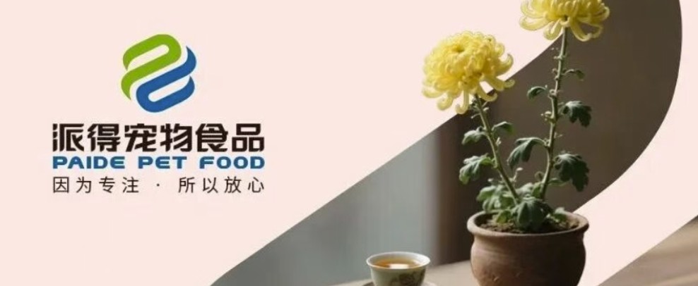 派得寵物