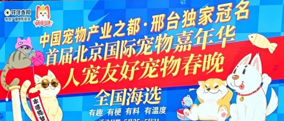 News 5